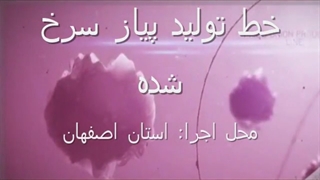 خط تولید پیاز داغ صنعتی