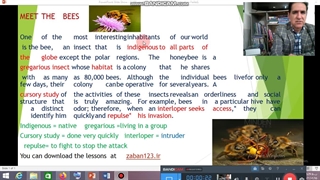 1100 واژه ویدیو  در  zaban123.ir