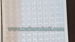 کوت یا سل بایوفیل