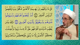 تفسیر باطنی آیه الیس الله بکاف عبده چیست؟(حجت الاسلام رستم نژاد،شبکه ولایت) تزریق چربی