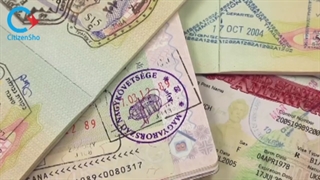 چرا ستیزن شو؟ حق الوکاله مشخص و شفاف