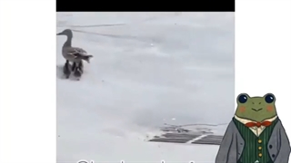 یک عدد مادر اسکول