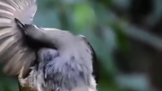 این داستان خیانت