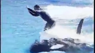 ترویض الحوت الازرق سبحان الله