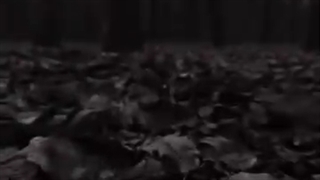رنگ چشم مشکی(سیاه)!!!