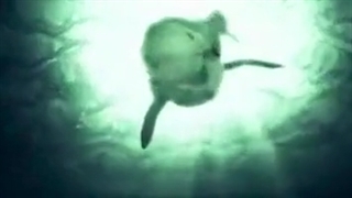 خورده شدن بچه دایناسورها