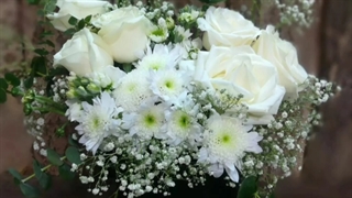 گل فروشی گاندی تهران