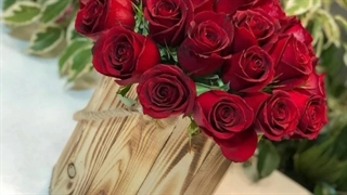 گل فروشی کوی فراز تهران