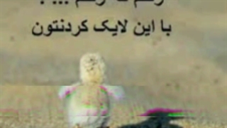 لامصب نمیدونم چی بگم  .........