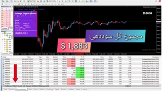 ربات تمام اتوماتیک گلدیج - ۱۸۸۳ دلار سود