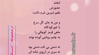 مهمانی نگاه و سکوت