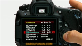 Picture Style  تنظیمات دوربین عکاسی