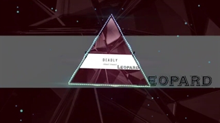 Leopard music from Deadly Album by Ahmad Mousavi has been released!