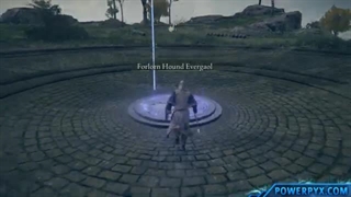 Elden Ring - Bloodhound Knight Darriwil Boss Fight & Location