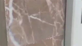 اینم از دوستای ما