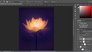 ادیت عکس - نحوه نورانی کردن گل - آموزش فتوشاپ
