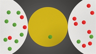 افزونه نیلا اتصال دهنده فروشگاه ساز ووکامرس به نرم افزار حسابداری هلو