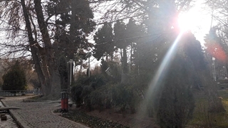 فیلمبردار-حسام الدین شفیعیان