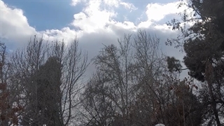 فیلمبردار-حسام الدین شفیعیان