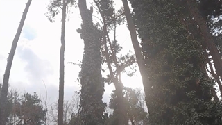 فیلمبردار-حسام الدین شفیعیان