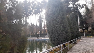 فیلمبردار-حسام الدین شفیعیان