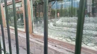 طبیعت(باغ وحش)