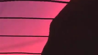 هنوزم با تو