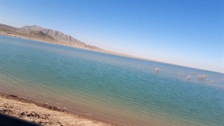 فیلم .اسفند ماه ۱۴۰۰ تالاب محمد آباد علم. شهرستان قاین