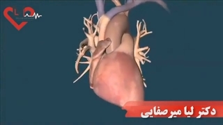 انیمیشن اکو قلب