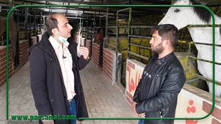 عملکردعلوفه هیدروپونیک برای اسب