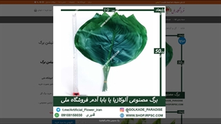 برگ های مصنوعی باباآدم (آلوکازیا)