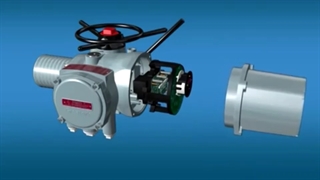 کارکرد روتس بلوئر گریتک