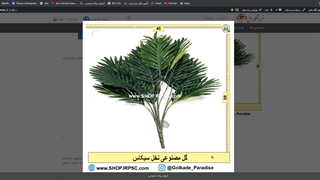 بوته های مصنوعی نخل سیکاس