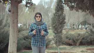 انواع استاندارد اسانسور چیست؟