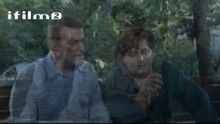 کوچه اقاقیا 20