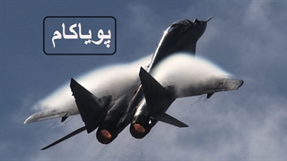 رشد جنگنده‌ها