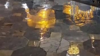 حرم مطهر امام رضا(ع)