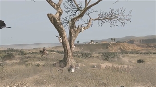 تریلر بازی Red Dead Redemption ps3