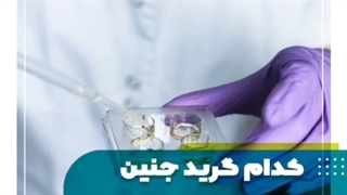 کدام گرید جنین برای انتقال مناسب است؟