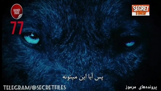 ویدیوی واقعی مخوف از حمله وحشتناک یک گرگینهء عظیم الجثه به سگ کوچک خانگی در جنگلهای کانادا (شکار دوربین _قسمت ۷۷)