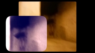 تبدیل جن به گربه سیاه - کانال یوتیوب هیتاسیان