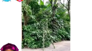 اتفاقات عجیب Part 8