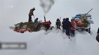 کمک رسانی مردم به دامداران گرفتار در برف روستای خیارک