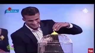 تلویزیون سنجاب ایرانی را بیچاره کرد