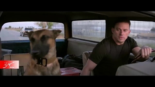 سگ (Dog 2022) معرفی فیلمهای پرفروش هفته اول بهار 1401