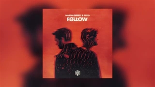 دانلود آهنگ خارجی از Martin Garrix & Zedd بنام Follow