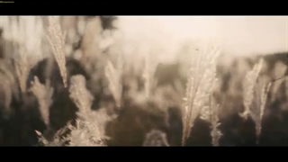 قسمت 1 سریال پاچینکو با زیرنویس فارسی چسبیده Pachinko 2022 با بازی لی مین هو