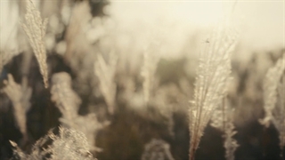 قسمت اول سریال پاچینکو - Pachinko 2022 با بازی لی مین هو