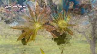 فرا رسیدن نوروز باستانی مبارک باد