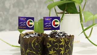 ویزای دبی- پارسی کانادا